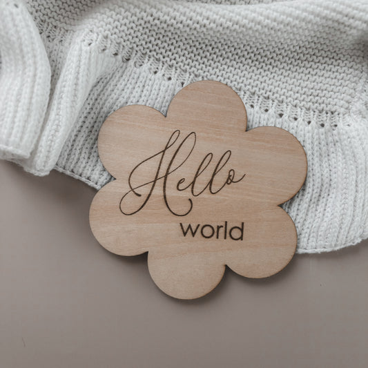 Holzschild „Hello World“